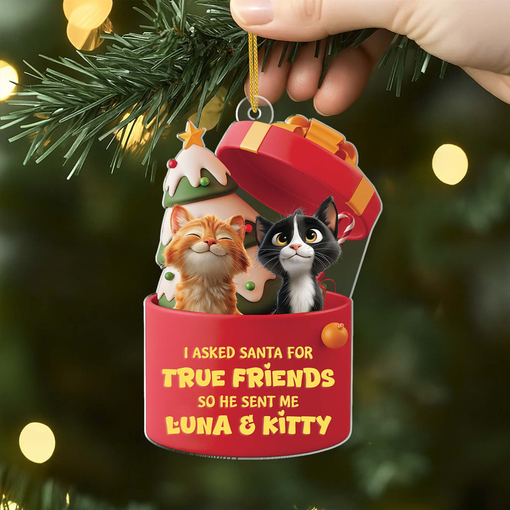 6098OUS2 3d printing effect personalized cat christmas ornaments acrylic  6098OKLAD