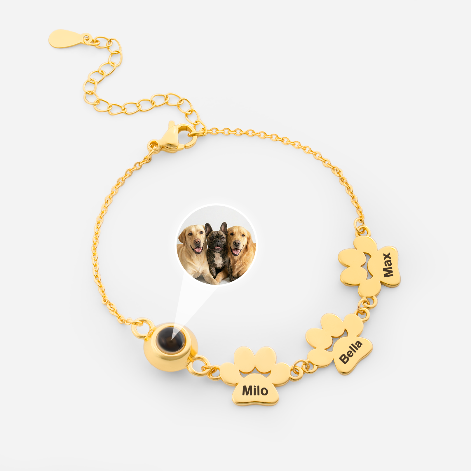 6111JUS1 personalized paw print bracelet_ with hidden photo gifts for pet lovers 6111J0V5B_e46dd32f 56f4 430d a4e9 27070a54fbd7