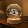 6137LUS1 crystal ball lamp with photo personalized newborn gifts 6137L3LMB_2
