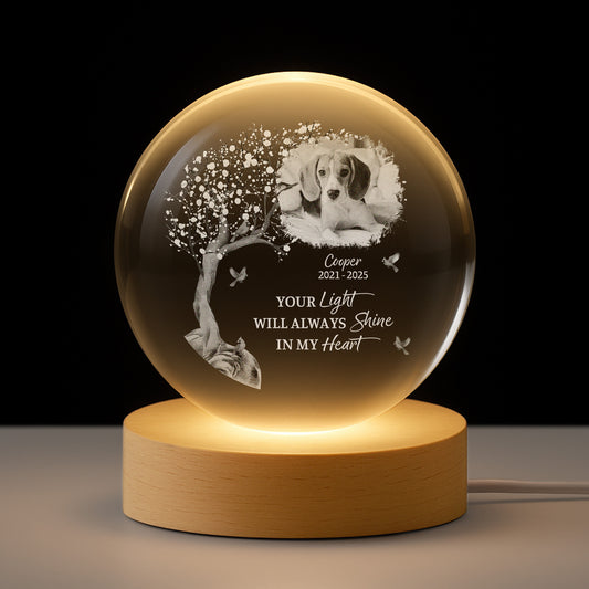 6138LUS1 crystal ball lamp with photo personalized pet memorial gifts 6138L3ZCB
