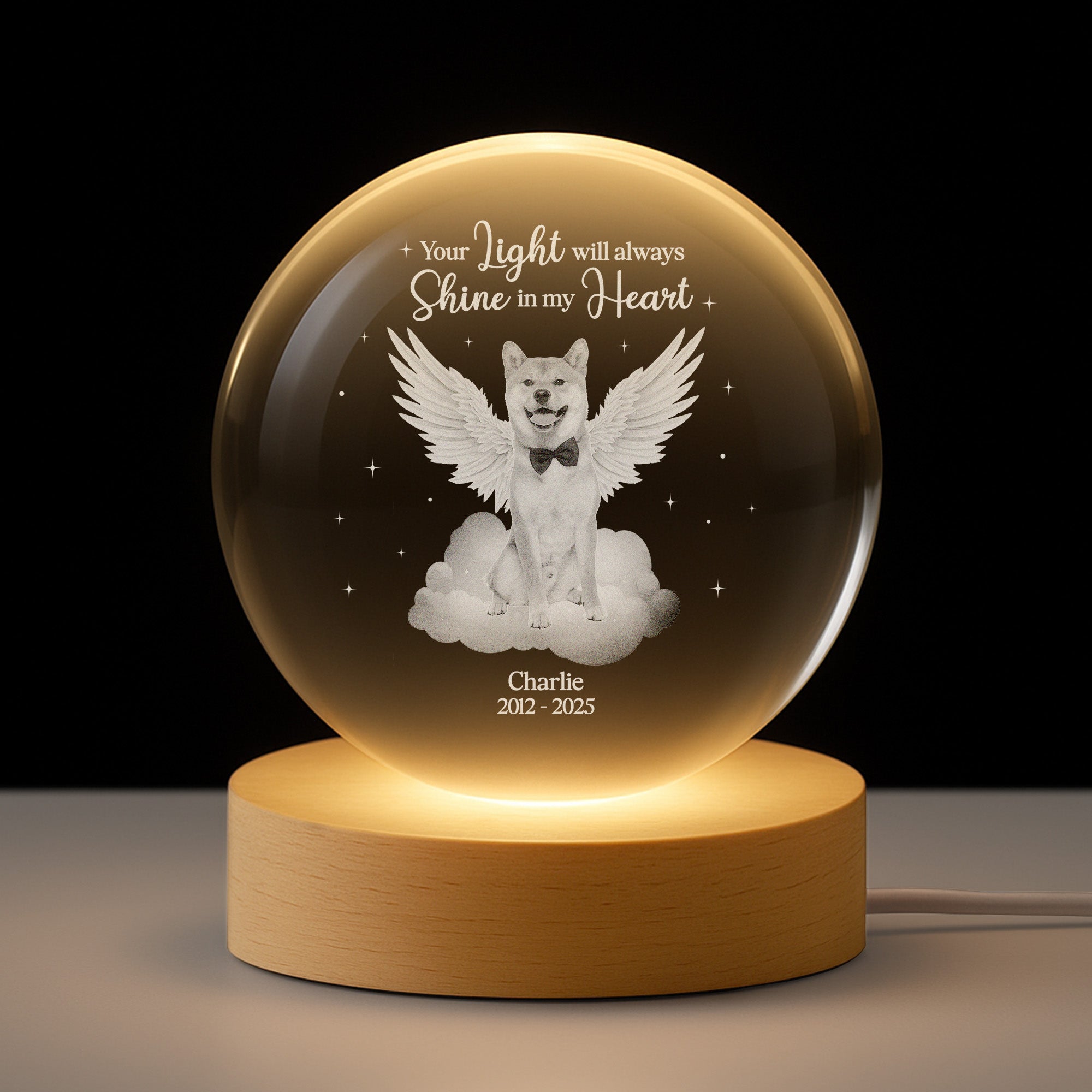 6140LUS1 personalized memorial gifts with photo_ crystal ball lamps 6140L6MCA