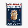6509EUS1 3d printing effect metal guard cat warning signs custom gifts for cat lovers 6509EKLTD_1