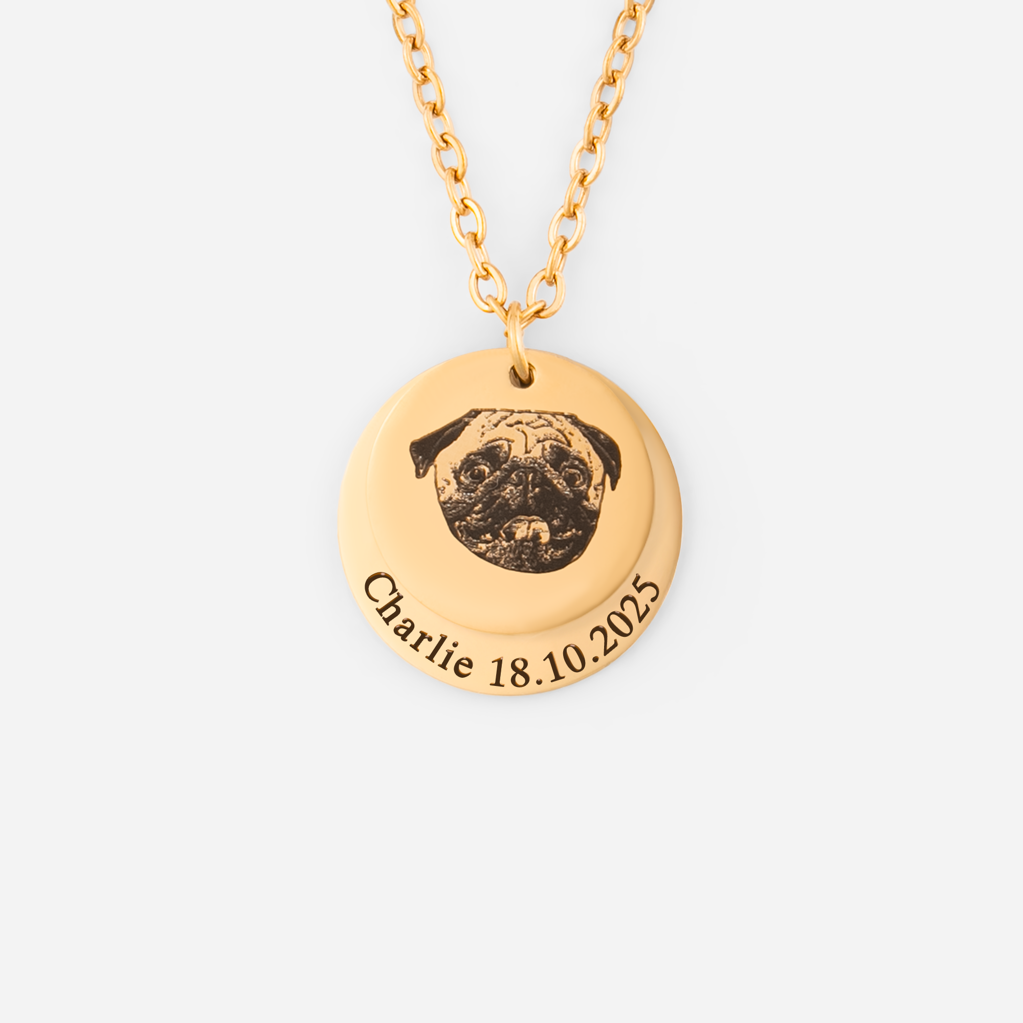 7041JUS1 personalized pet photo necklace_ gifts for dog cat lovers 7041J0L5C_1
