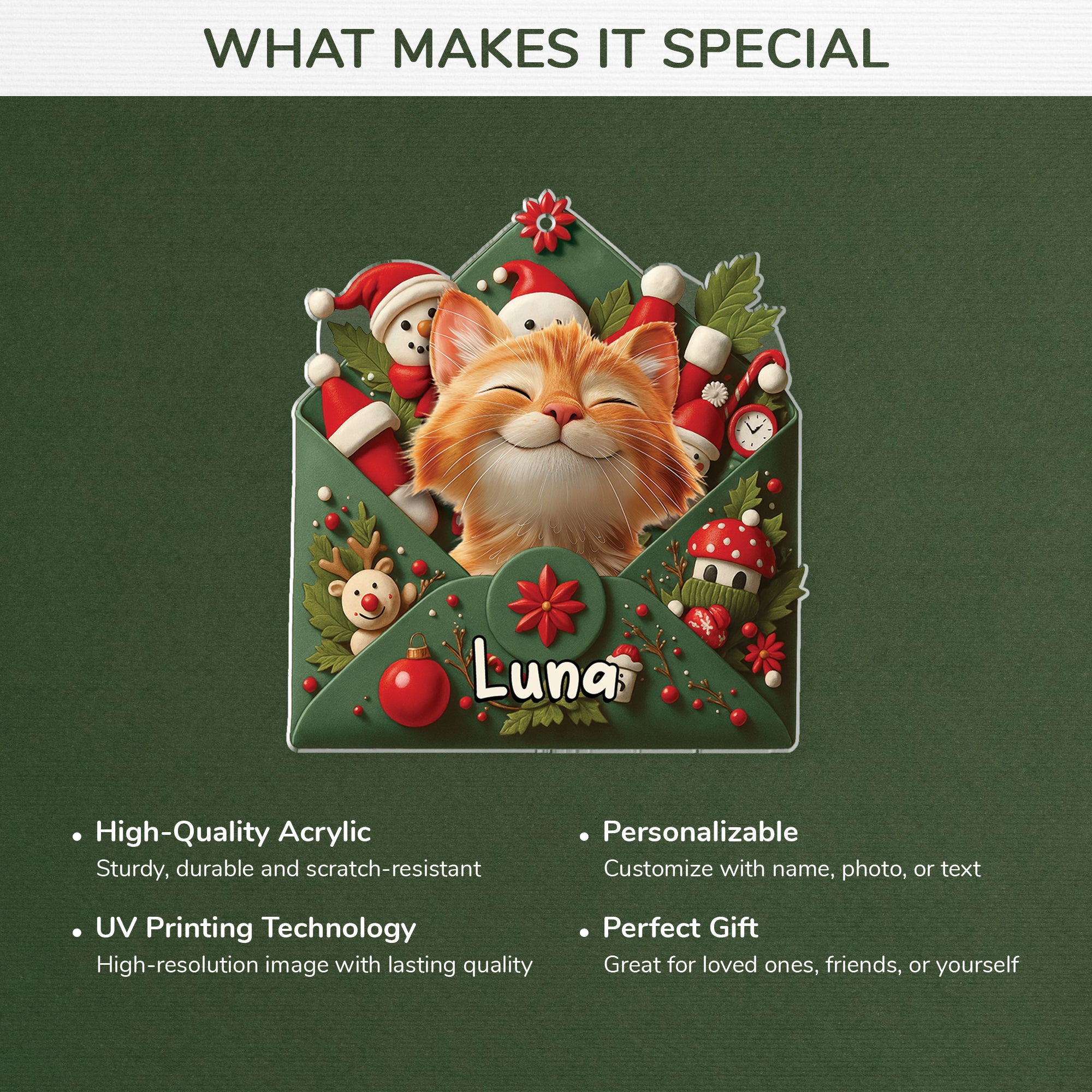 7109OUS4 acrylic cat photo ornament_ personalized christmas gift 7109OTMND