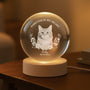 7422LUS2 photo crystal ball lamp personalized pet memorial gifts 7422L3QWC_78770a6c 4a6c 45ec 99dd 486e02bd0877