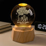 7529LUS1 custom 3d crystal ball lamp growing old together gifts for couples 7529LTPWG