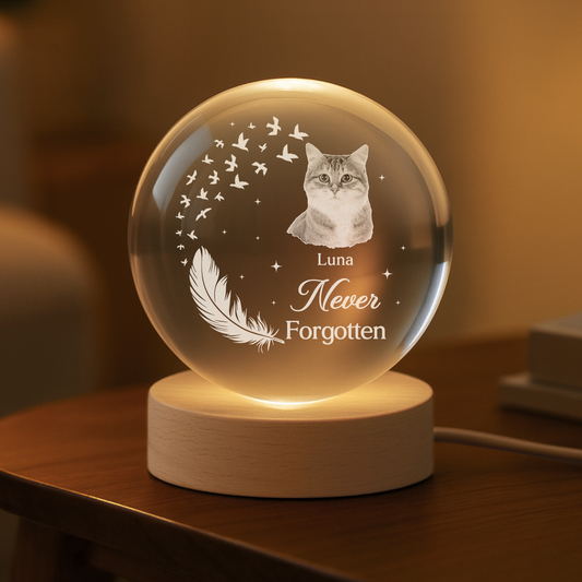 7644LUS1 dog cat crystal ball lamp personalized memorial gifts with photo 7644l3ftd