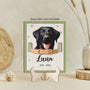 7727QUS2 wooden memorial plaques with photo personalized cat memorial gifts 7727qsqad
