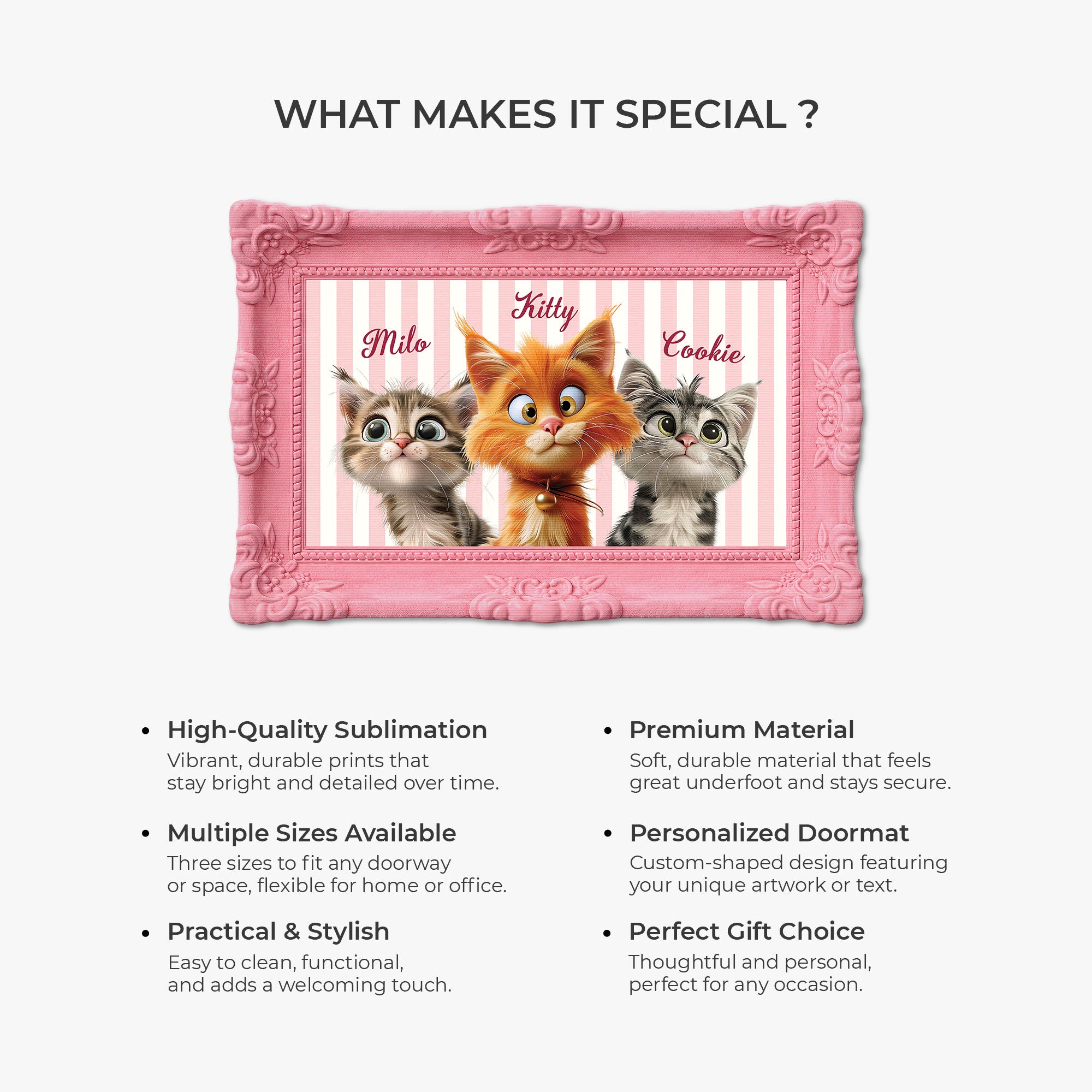 8596AUS6 3d printing effect picture frame custom shaped doormat gifts for cat lovers 8596adckld