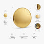 8704MUS3 america 250th anniversary commemorative coin_ personalized 4th of july gifts 8704mj3qbb