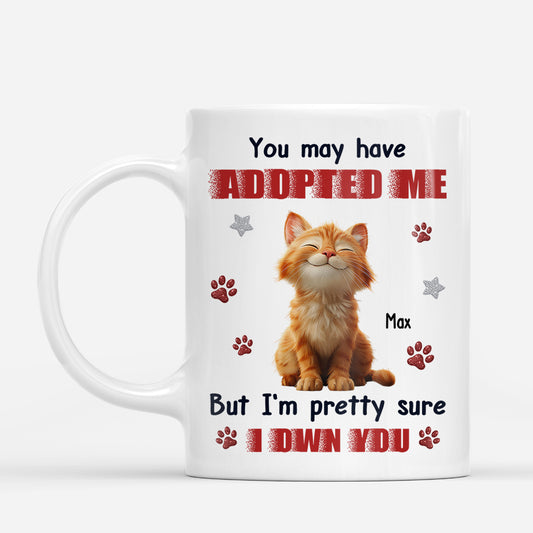 8895MUS1 im pretty sure i own you mug_ personalized gifts for cat owners 8895msdkd