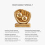 9043AUS5 3d printing effect custom shaped acrylic plaque baseball gifts for dadmom 9043ar8eab