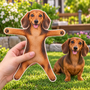 Dachshund