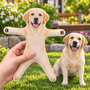 LabradorRetriever_e688dfc5 15be 4c75 a2b7 b3cdd71a32cc
