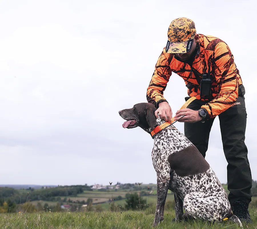 Kurgo Seat Covers as Father’s Day Gifts from Dog