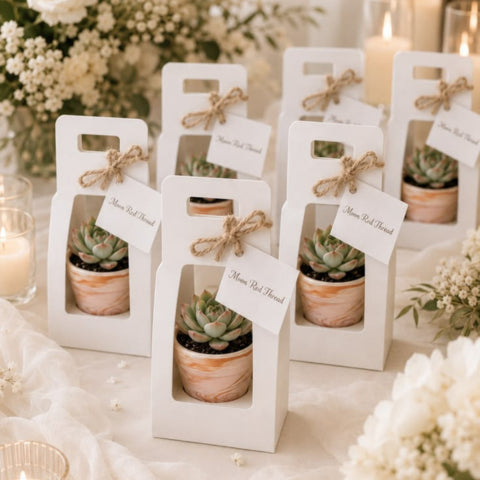 Mini Succulent as a Wedding Return Gift