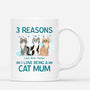 0758Muk2 Personalised Mugs Gifts Cat Cat Lovers
